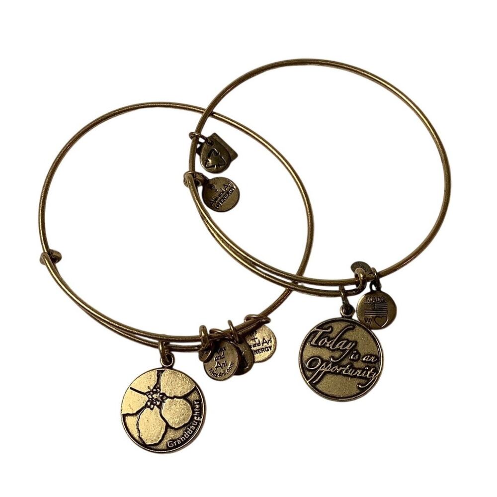 Alex and Ani Lot 2 Granddaughter Today Is An Opportunity Bangle Bracelet F18-35